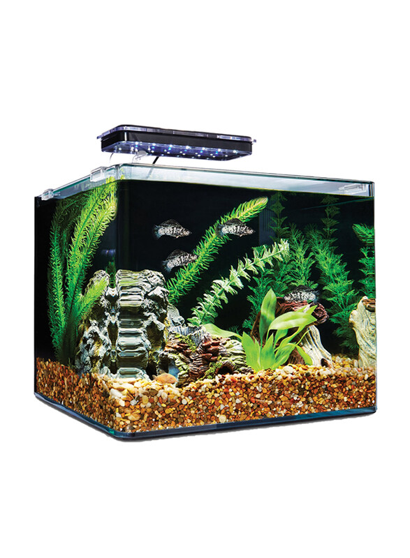 

Aqua Viu Curved Glass Fish Tanks, 4 Liters, 18 x 13 x 18 cm, Clear