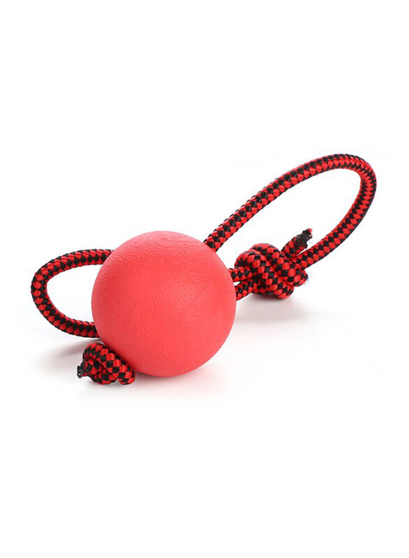 

Rubz Rubber Ball with Rope Dog Toy, Small, Multicolour