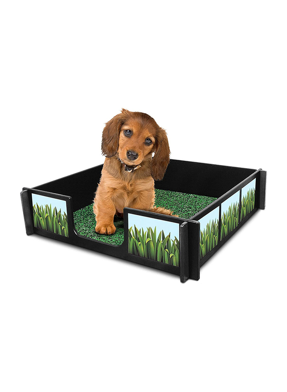 

Potty Rink Indoor Puppy Potty Dog Training Station, Black/Green