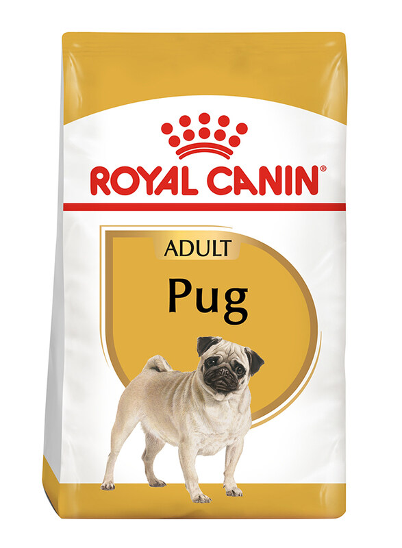 

Royal Canin Breed Health Nutrition Pug Adult Dog Dry Food, 1.5 Kg