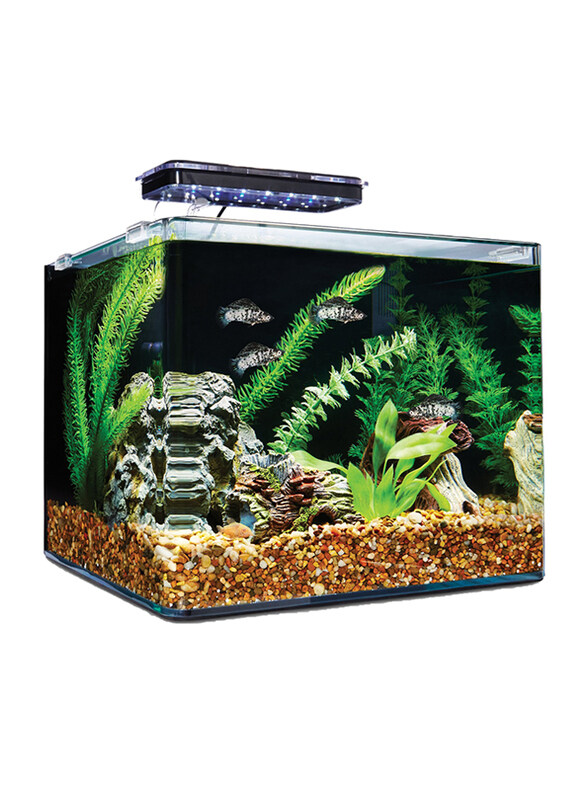 

Aqua Viu Curved Glass Fish Tanks, 4 Liters, 18 x 13 x 15 cm, Clear