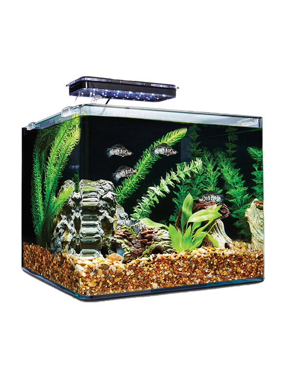 

Aqua Viu Curved Glass Fish Tanks, 13 Liters, 35 x 17 x 22 cm, Clear