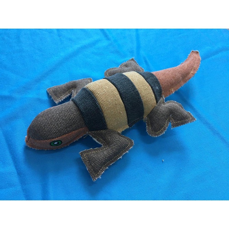 Nutrapet Lizard Dog Toy, Multicolour