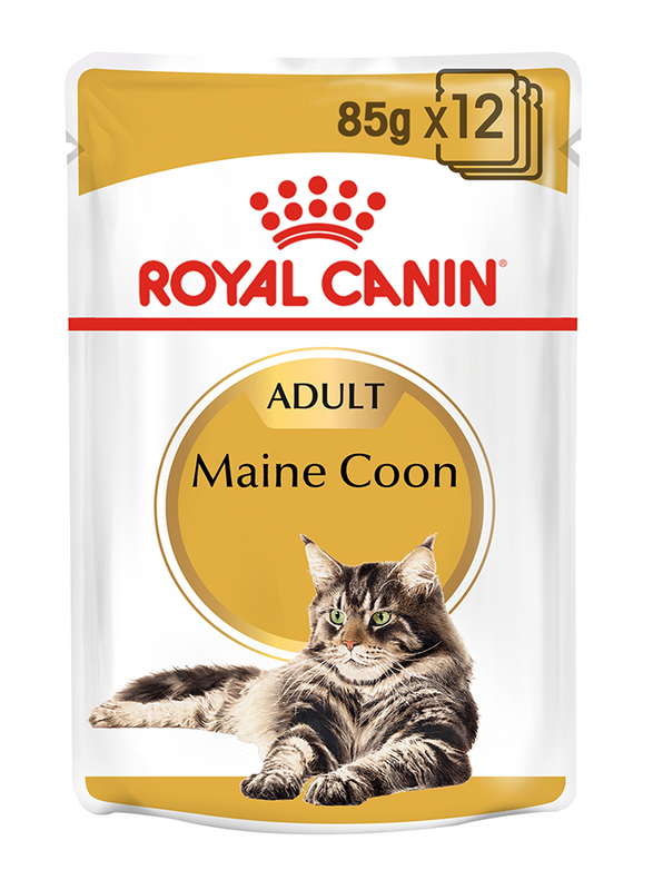 

Royal Canin Feline Breed Nutrition Adult Maine Coon Cat Wet Food, 12 Pouches x 85g