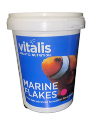 Vitalis Algae Flakes Fish Dry Food, 22g