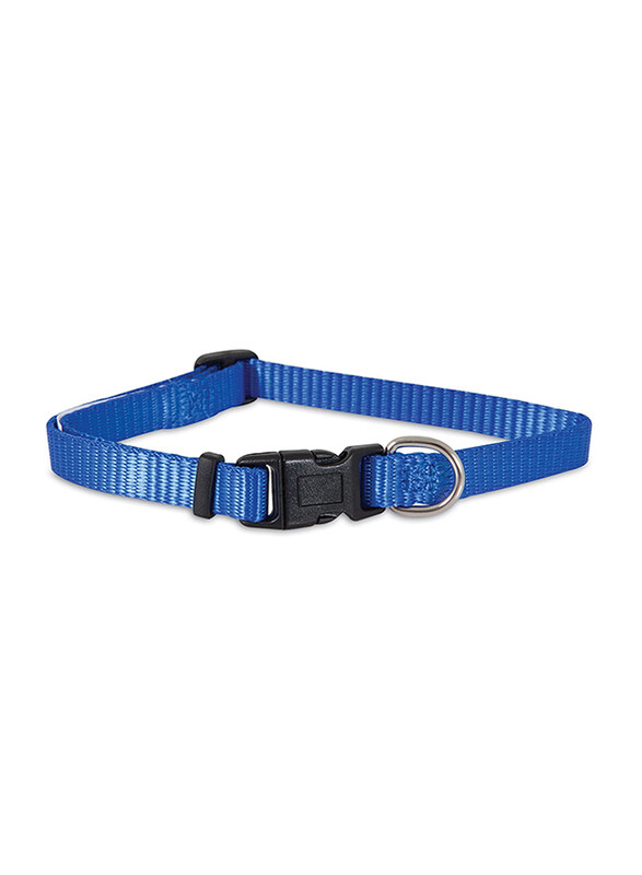 

Aspen Pet 8-14-inch Adjustable Dog Collar, Blue