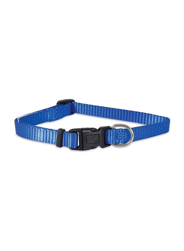 Aspen Pet 20-30-inch Nylon Adjustable Dog Collar, Blue
