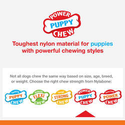 Nylabone Puppy Chew Teething Rings, Multicolour