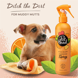 Pet Head Ditch The Dirt Orange Deodorizing Dog Spray with Aloe Vera, 300ml, Orange