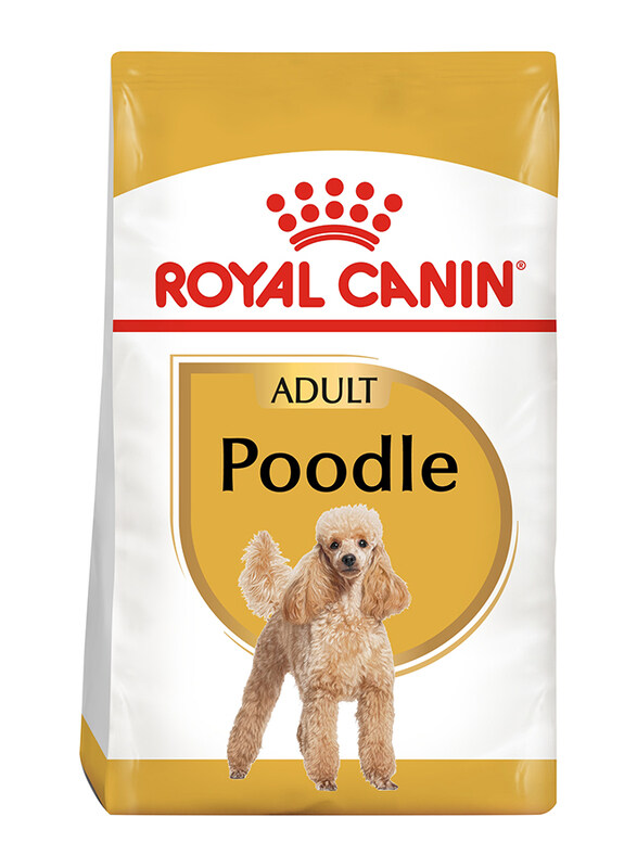 

Royal Canin Breed Health Nutrition Poodle Adult Dog Dry Food, 1.5 Kg