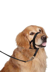 Company of Animals HH042 Head Dog Collar, Size 4, Black