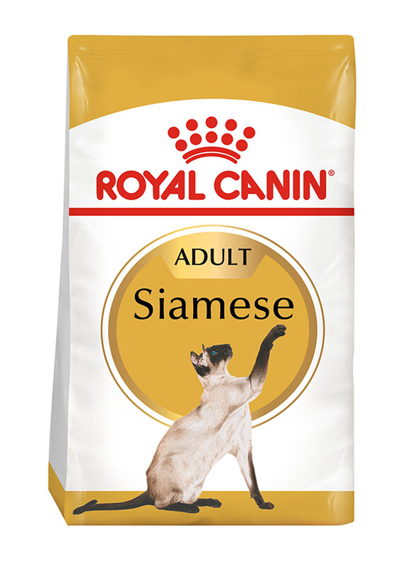 

Royal Canin Feline Breed Nutrition Siamese Adult Cat Dry Food, 2 Kg