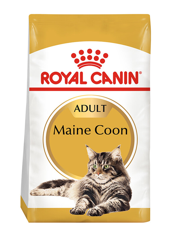 

Royal Canin Feline Breed Nutrition Adult Maine Coon Cat Dry Food, 2 Kg