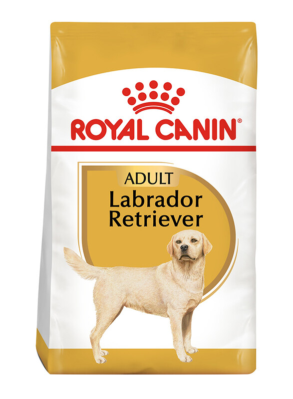 

Royal Canin Breed Health Nutrition Labrador Retriever Adult Dog Dry Food, 3 Kg