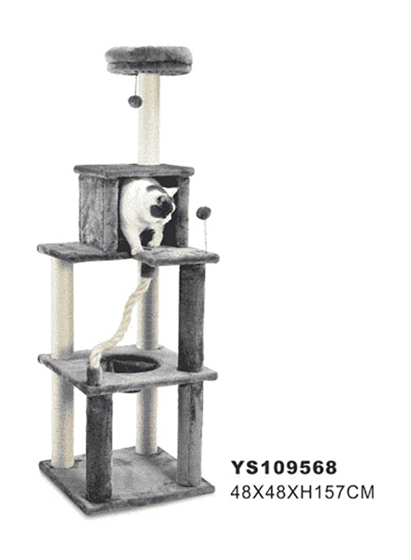 Nutra Pet Cat Splurge Super Sturdy Structure, Multicolour