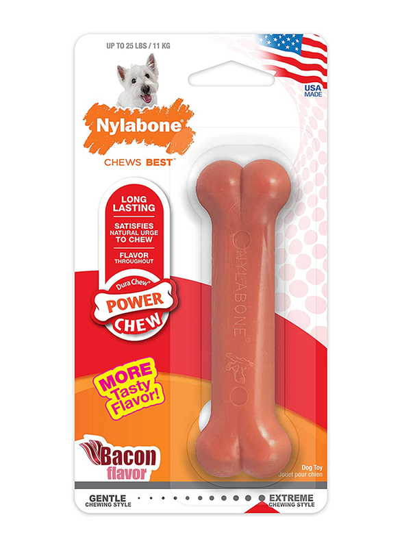 Nylabone Bacon Blister Card Regular Power Chew Toy, Orange