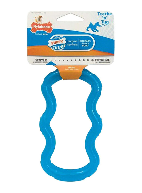 

Nylabone Puppy Tug Translucent, Blue