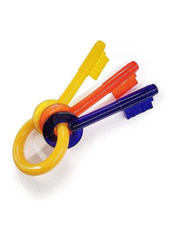 Nylabone Puppy Chew Teething Keys Toy, Small, Multicolour