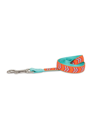 Petmate 3.4-72-inch Lead Rubber Dog Leash, Orange/Blue