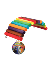 Woodpecker 20 x 9.5 x 7cm Rainbow Bridge Bird Toy, Multicolour