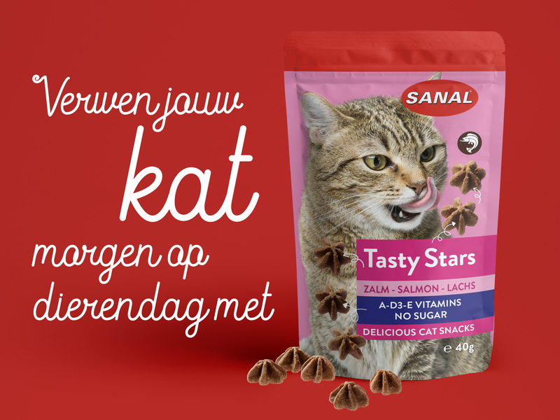Sanal Tasty Stars Salmon Dry Cat Food, 40g