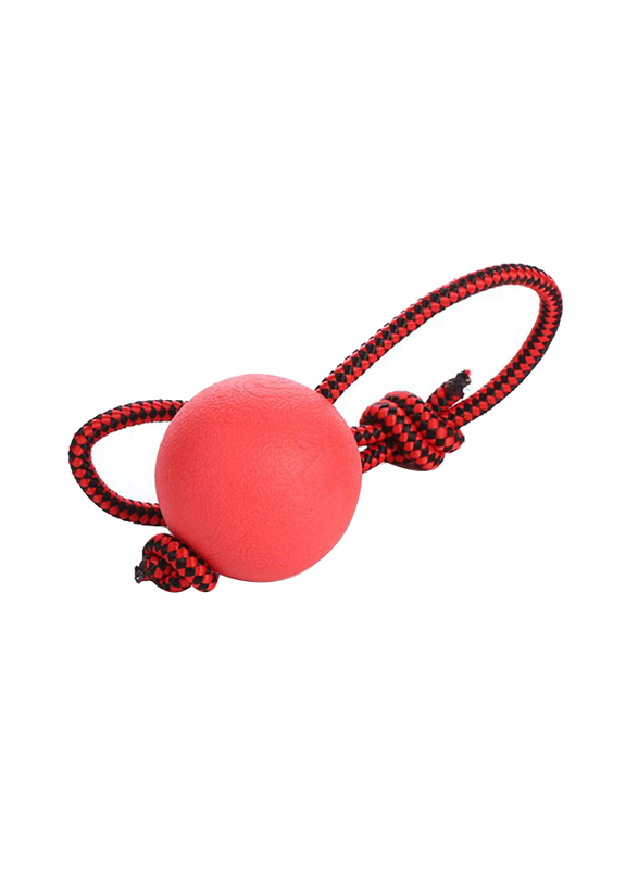Rubz Rubber Ball with Rope Dog Toy, Large, Multicolour