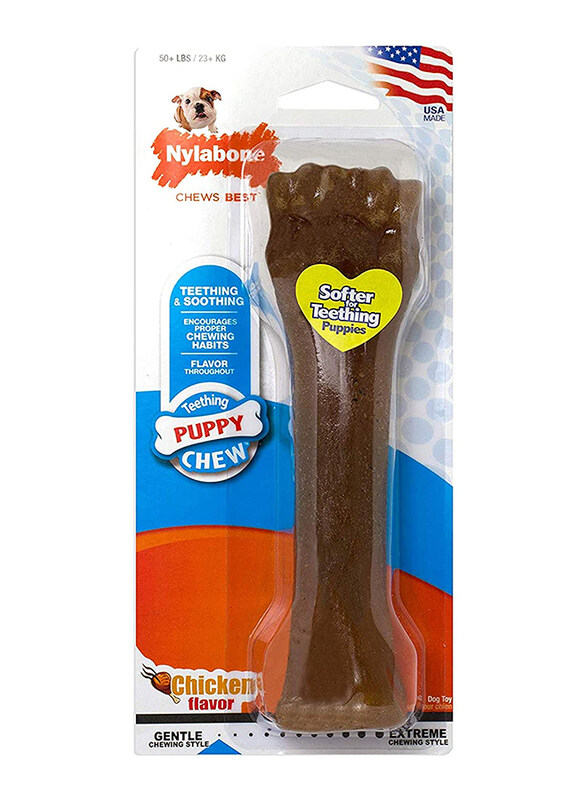 Nylabone Teething Chicken Puppy Bone Chew, Brown