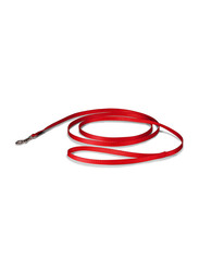 Aspen Pet 48-5.8-inch Nylon Dog Leash, Red