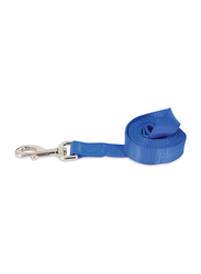 Aspen Pet Dog Leashes, Blue