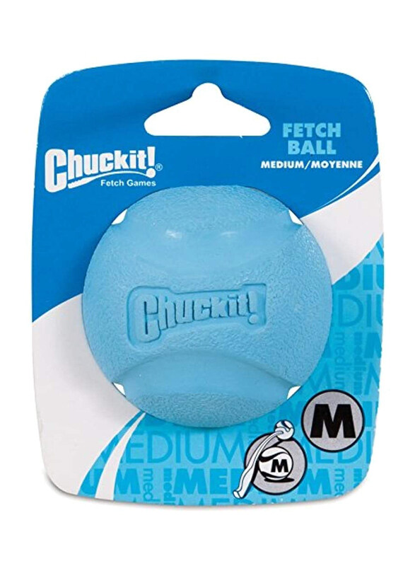 

Petmate Chuckit! Fetch Ball, Medium, Blue