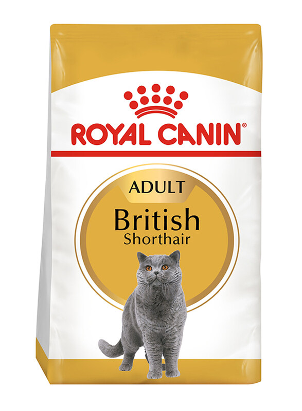 

Royal Canin Feline Breed Nutrition Adult British Shorthair Cat Dry Food, 4 Kg