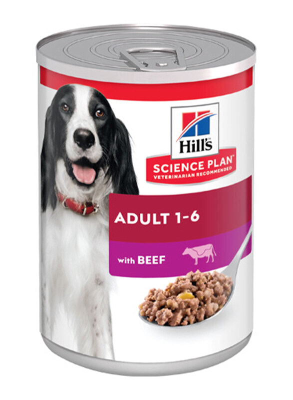 

Hill's Science Plan Adult Dog Dry Food with Beef, 370g