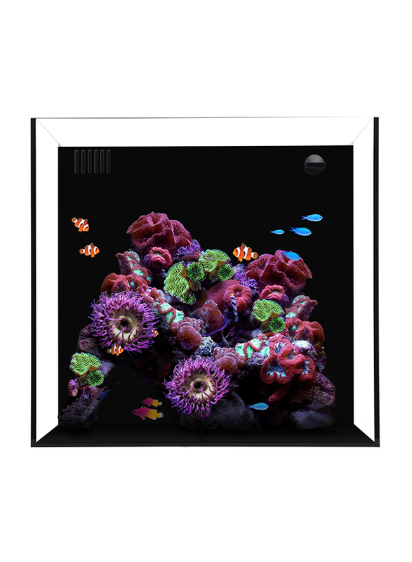 Waterbox Aquarium Cube 20 with Pump, Multicolour