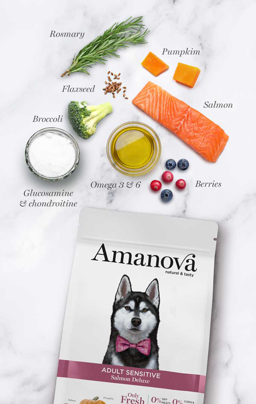 Amanova Dry Adult Sensitive Salmon Deluxe, 2 Kg