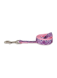 Petmate Aspen Pet Dog Leash, 1 x 6 inch, Purple