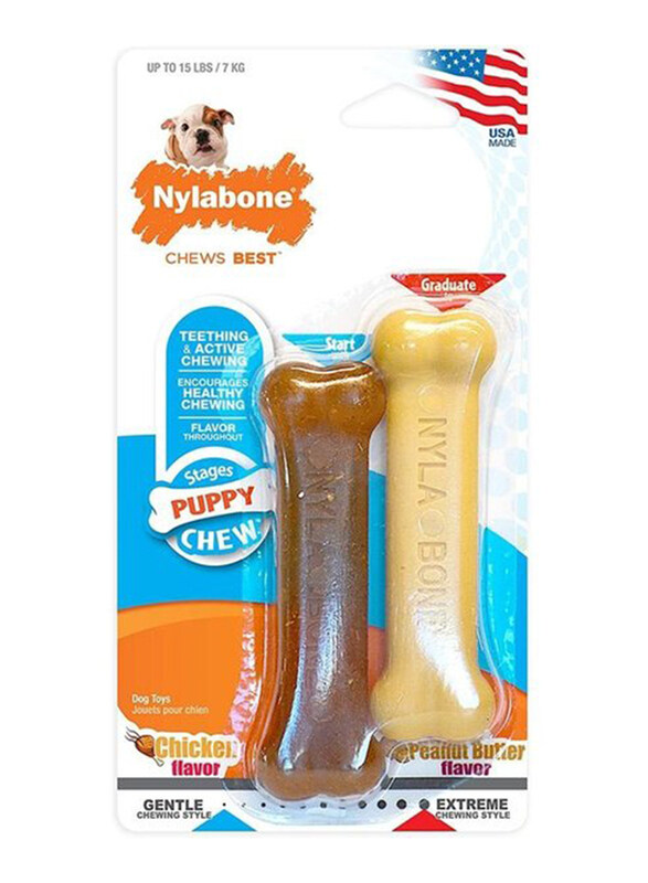 

Nylabone Classic Peanut Butter & Chicken Dog Chew Toy, 2 Pieces, Beige/Brown