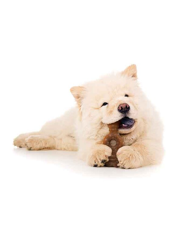 Nylabone Puppy Ring Bone Wolf Toy, Orange