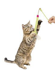 SmartyKat Silly Swinger Feather & Catnip Wand Cat Toy, Green