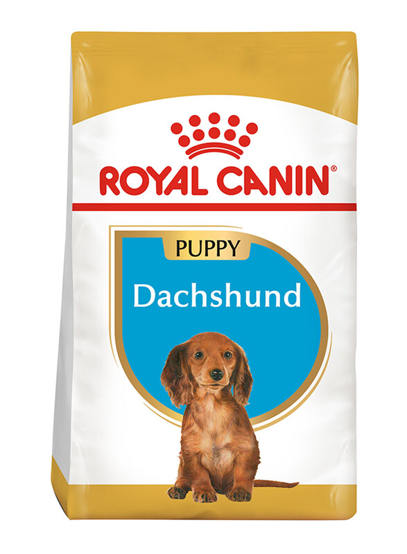 

Royal Canin Breed Health Nutrition Dachshund Puppy Dog Dry Food, 1.5 Kg