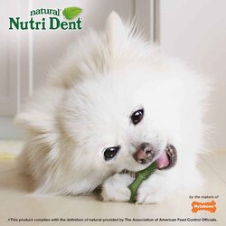 Nylabone Nutri Dent Fresh Breath, 32 Pieces, 160g
