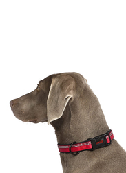 Company of Animals HC024 Halti Dog Collar, Medium, Red