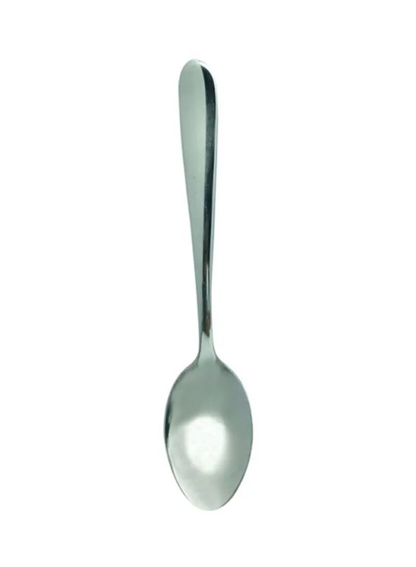 Raj 6-Piece Coffee Spoon Set, PC0014, Silver