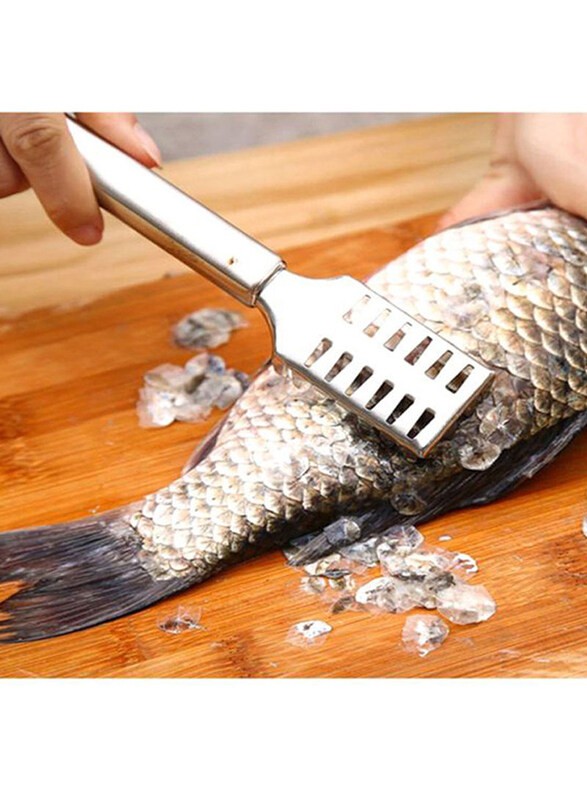 Raj 20cm Stainless Steel Fish Scale Remover, Silver