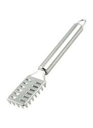 Raj 20cm Stainless Steel Fish Scale Remover, Silver