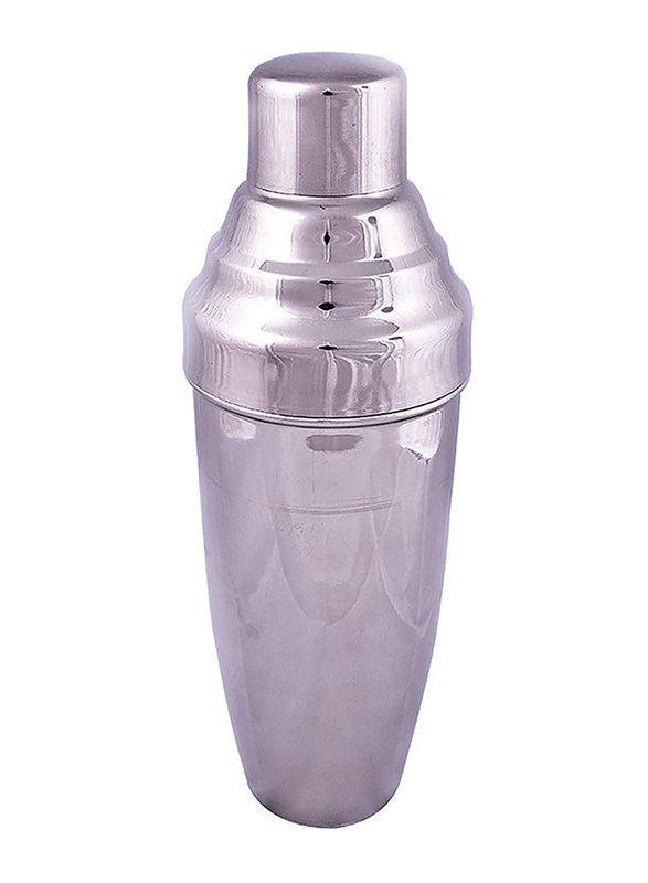 Raj 0.7 Ltr Stainless Steel Cocktail Shaker Dlx, CSD0.7, Silver