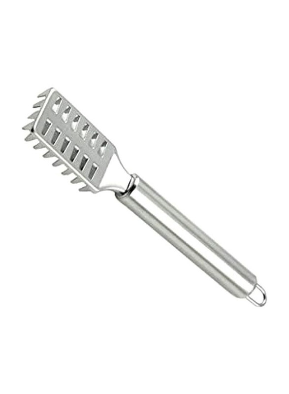 Raj 20cm Stainless Steel Fish Scale Remover, Silver