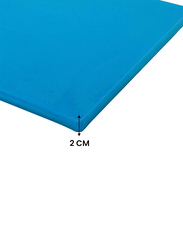 Kitchen Master Plastic Cutting & Chopping Board, 40x30x2cm, CNCB05, Blue