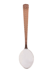 Raj 3-Piece 13.5cm Copper Tea Spoon Set, RCTS03, Brown