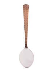Raj 3-Piece 19cm Copper Dessert Spoon Set, RCDS03, Brown