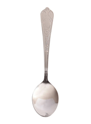 Raj 6-Piece Stainless Steel Aura Dessert Spoon Set, RK0045, Silver